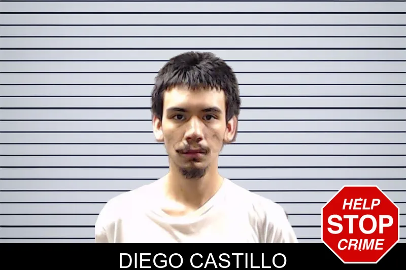 Diego Castillo mugshot – DeKalb County , Georgia Diego Castillo mugshot