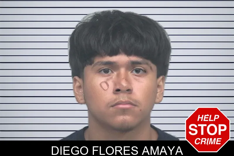Diego Flores Amaya mugshot – Gwinnett County , Georgia Diego Flores Amaya mugshot