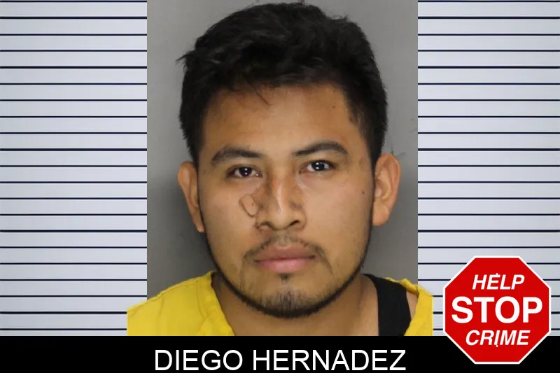 Diego Hernadez mugshot