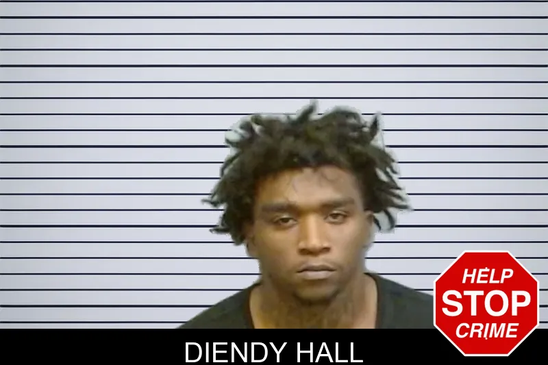 Diendy Hall mugshot – Fulton County , Georgia Diendy Hall mugshot