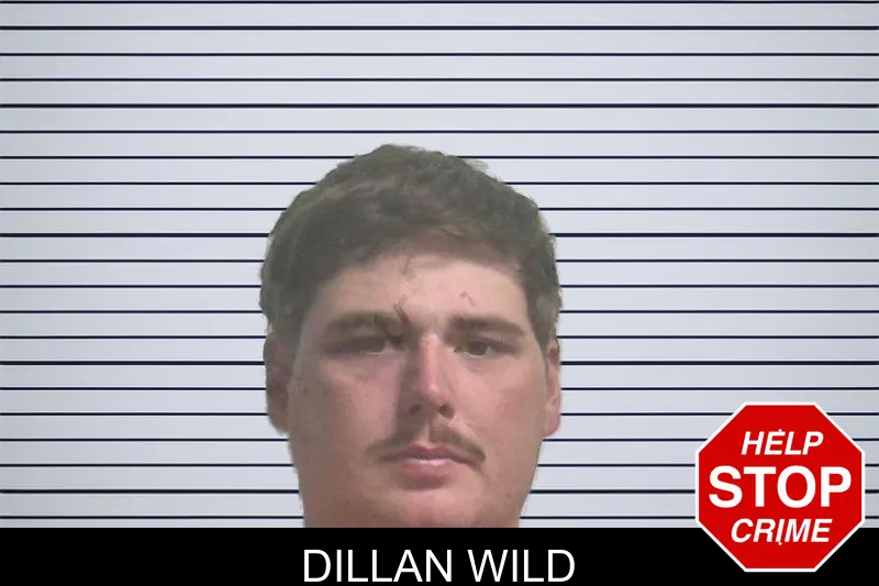 Dillan Wild mugshot – Colquitt County , Georgia Dillan Wild mugshot