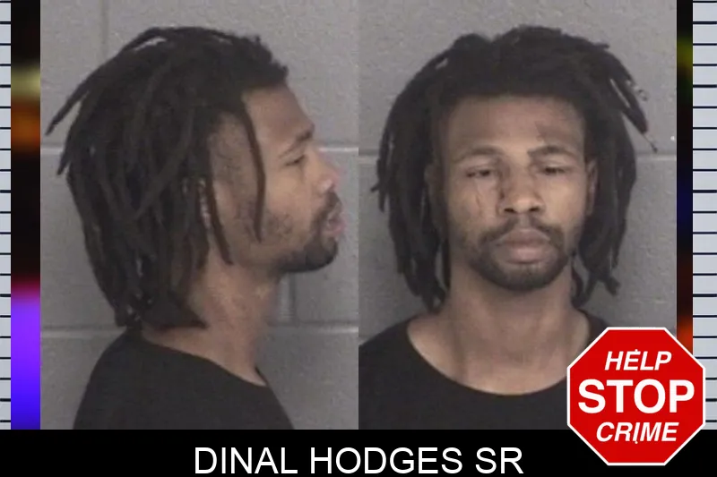 Dinal Hodges Sr mugshot