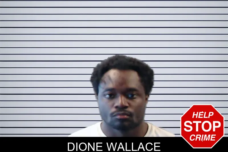 Dione Wallace mugshot – DeKalb County , Georgia Dione Wallace mugshot
