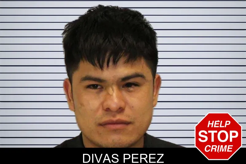 Divas Perez mugshot