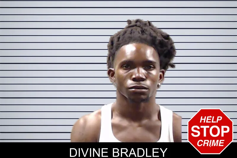 Divine Bradley mugshot – DeKalb County , Georgia Divine Bradley mugshot