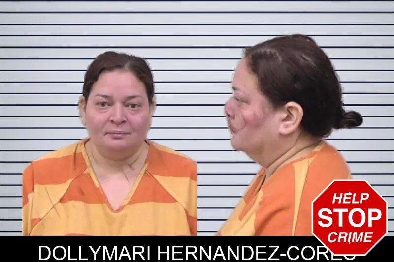 Dollymari Hernandez-Cores mugshot – Paulding County , Georgia Dollymari Hernandez-Cores mugshot