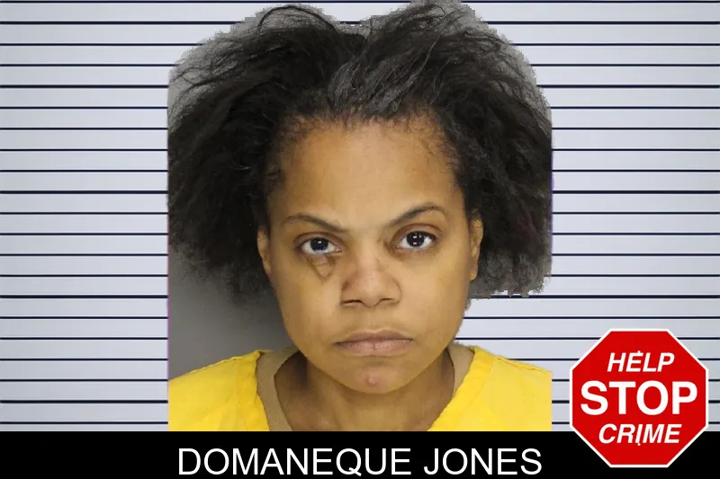 Domaneque Jones mugshot – Cobb County , Georgia Domaneque Jones mugshot