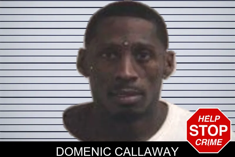 Domenic Callaway mugshot – Henry County , Georgia Domenic Callaway mugshot