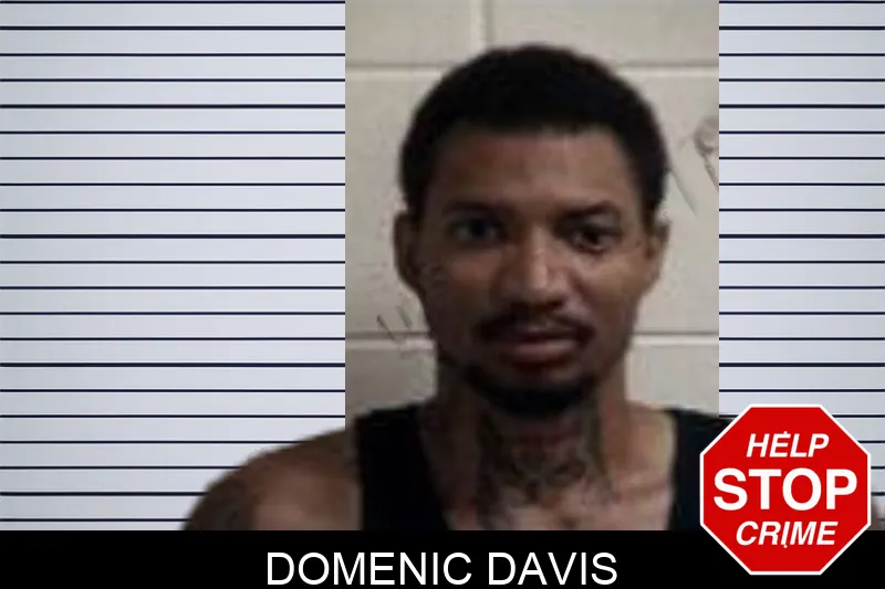 Domenic Davis mugshot