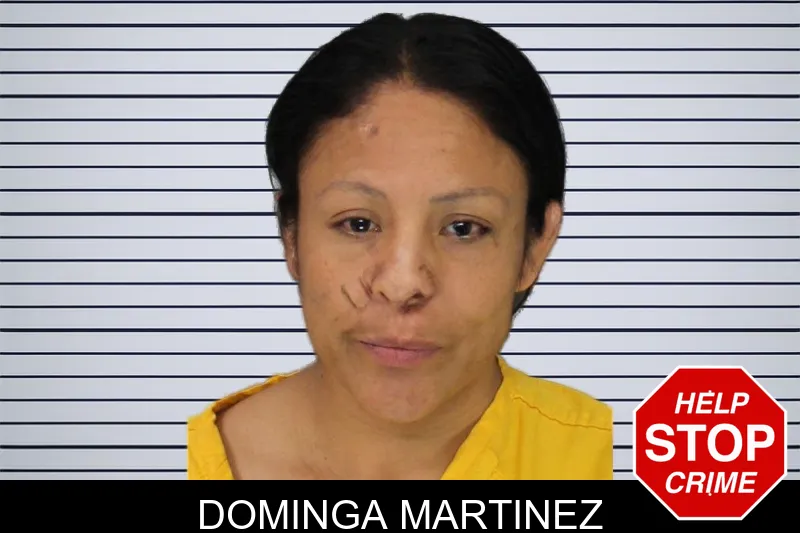 Dominga Martinez mugshot – Cobb County , Georgia Dominga Martinez mugshot