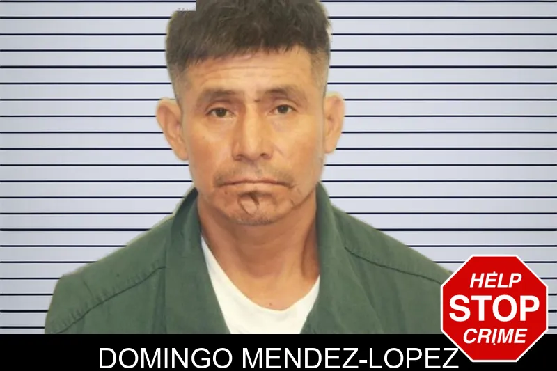 Domingo Mendez-Lopez mugshot – Chatham County , Georgia Domingo Mendez-Lopez mugshot