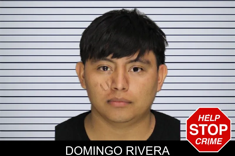 Domingo Rivera mugshot – Cobb County , Georgia Domingo Rivera mugshot