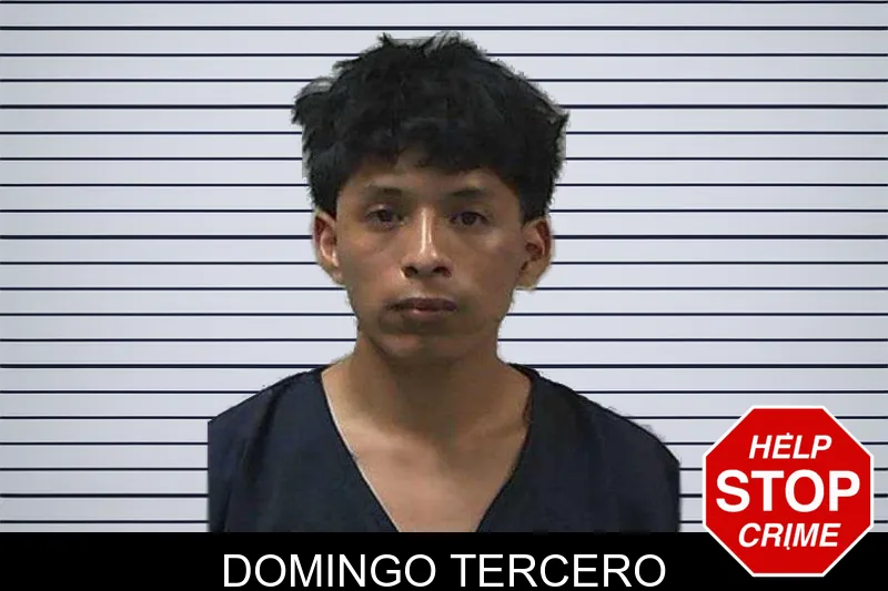 Domingo Tercero mugshot