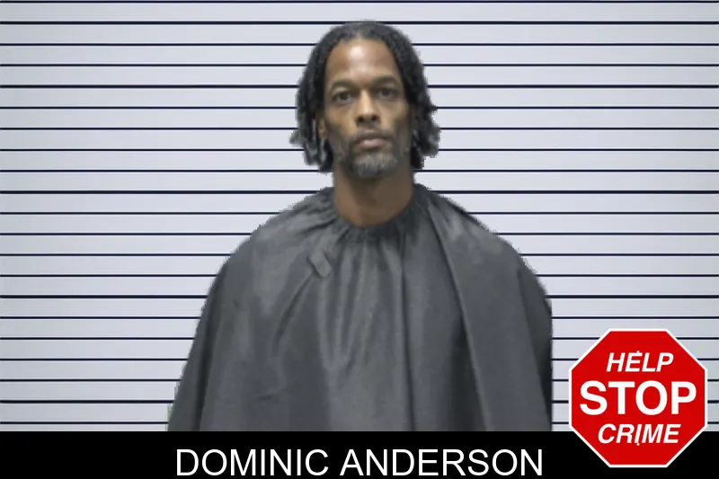 Dominic Anderson mugshot