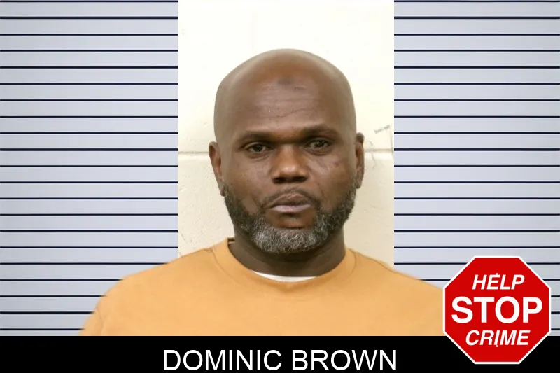 Dominic Brown mugshot – Bulloch County , Georgia Dominic Brown mugshot