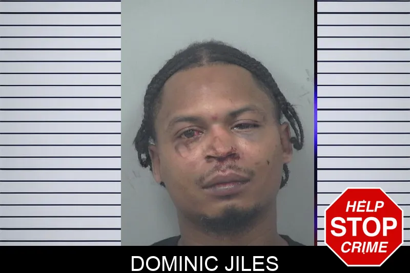 Dominic Jiles mugshot – Gwinnett County , Georgia Dominic Jiles mugshot