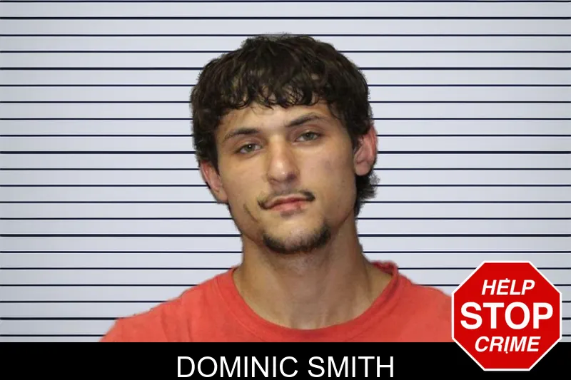 Dominic Smith mugshot