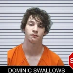 Dominic Swallows mugshot – Cherokee County , Georgia Dominic Swallows mugshot