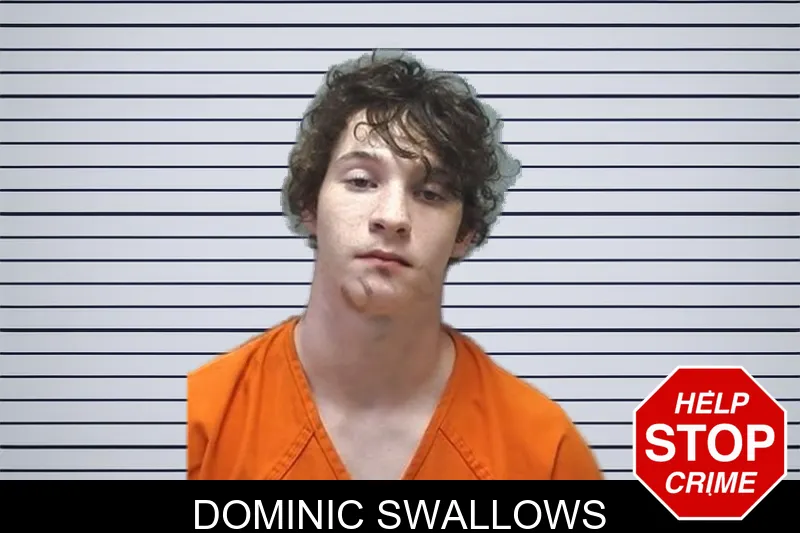 Dominic Swallows mugshot – Cherokee County , Georgia Dominic Swallows mugshot