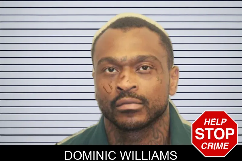 Dominic Williams mugshot – Chatham County , Georgia Dominic Williams mugshot