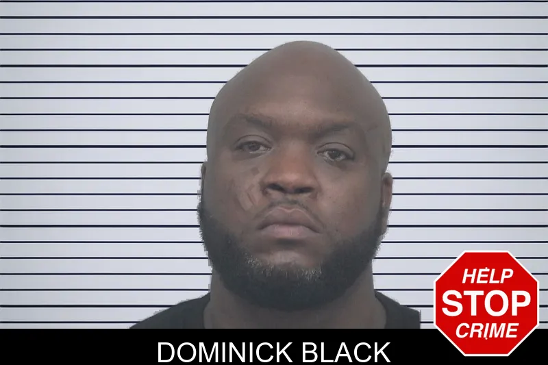 Dominick Black mugshot