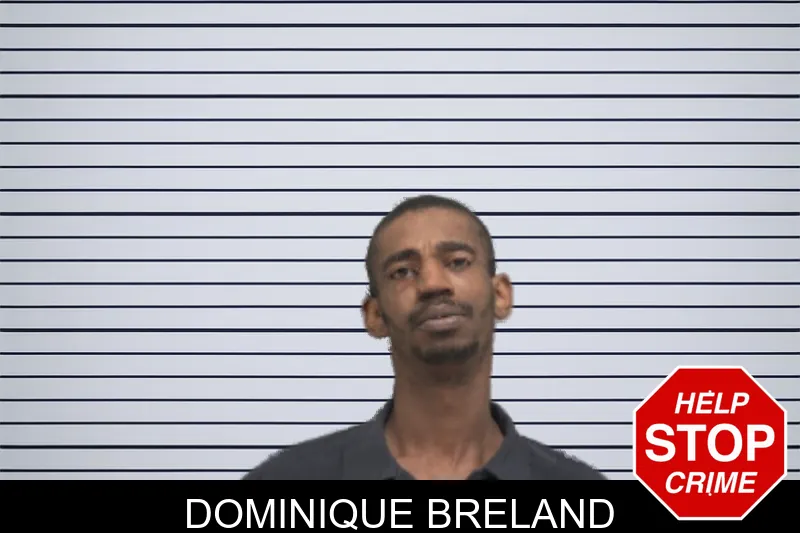 Dominique Breland mugshot