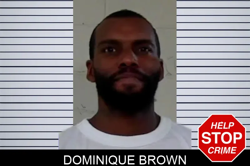 Dominique Brown mugshot – Liberty County , Georgia Dominique Brown mugshot