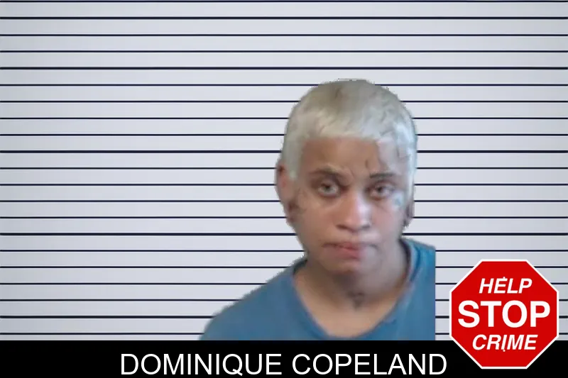 Dominique Copeland mugshot – DeKalb County , Georgia Dominique Copeland mugshot