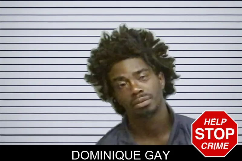 Dominique Gay mugshot – Fulton County , Georgia Dominique Gay mugshot