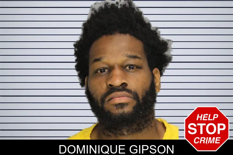 Dominique Gipson mugshot – Cobb County , Georgia Dominique Gipson mugshot