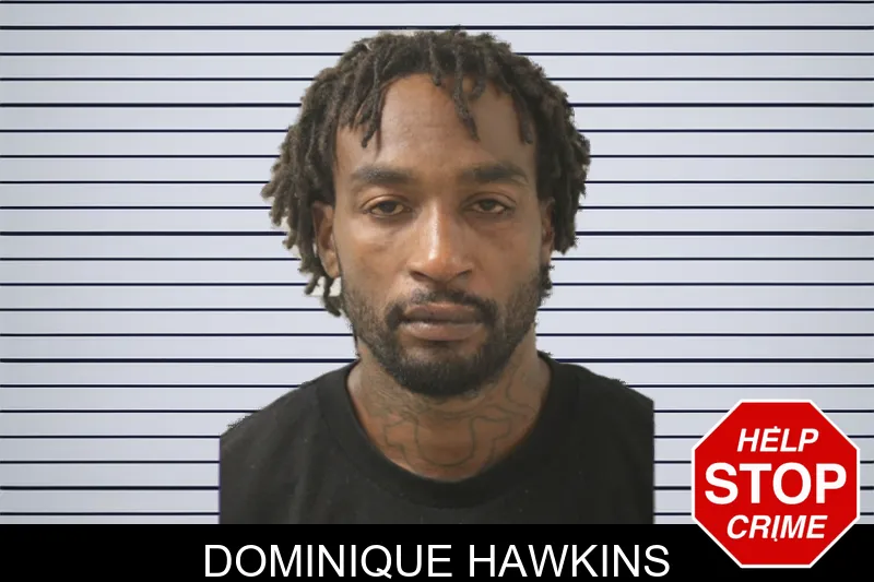 Dominique Hawkins mugshot – Toombs County , Georgia Dominique Hawkins mugshot