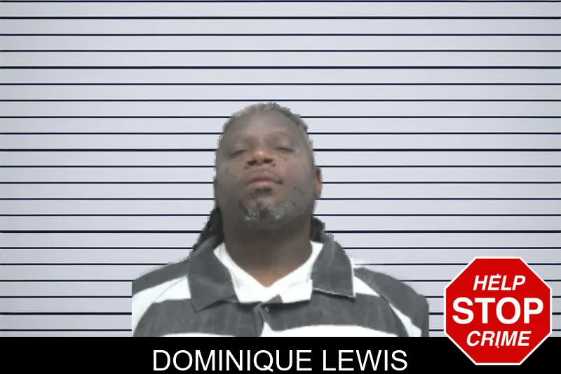 Dominique Lewis mugshot – Dougherty County , Georgia Dominique Lewis mugshot