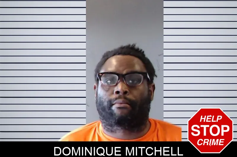 Dominique Mitchell mugshot – DeKalb County , Georgia Dominique Mitchell mugshot