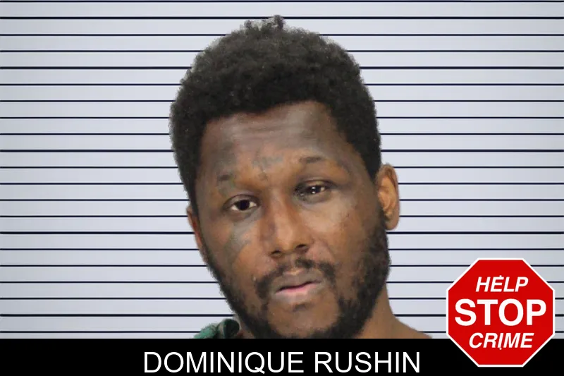 Dominique Rushin mugshot – Cobb County , Georgia Dominique Rushin mugshot
