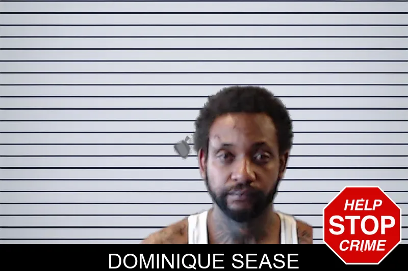Dominique Sease mugshot – DeKalb County , Georgia Dominique Sease mugshot