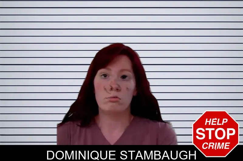 Dominique Stambaugh mugshot – Liberty County , Georgia Dominique Stambaugh mugshot