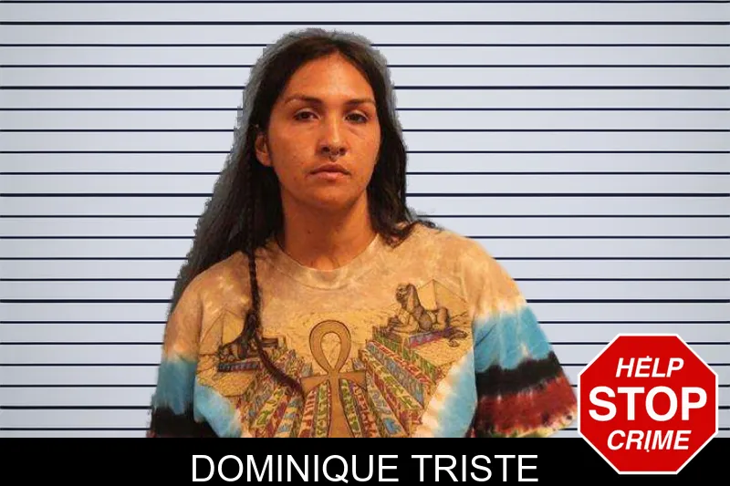 Dominique Triste mugshot