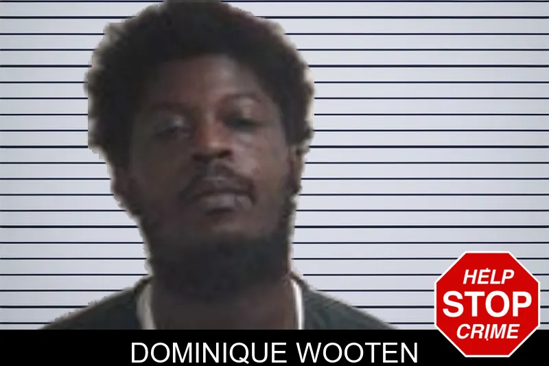 Dominique Wooten mugshot – Henry County , Georgia Dominique Wooten mugshot