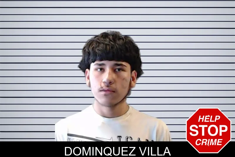 Dominquez Villa mugshot