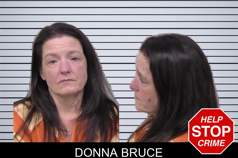 Donna Bruce mugshot – Paulding County , Georgia Donna Bruce mugshot