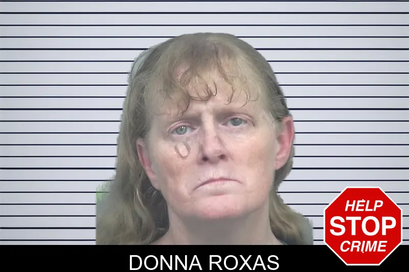 Donna Roxas mugshot – Gwinnett County , Georgia Donna Roxas mugshot
