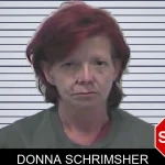Donna Schrimsher mugshot – Dawson County , Georgia Donna Schrimsher mugshot