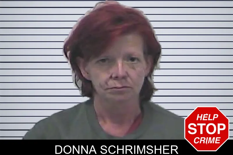 Donna Schrimsher mugshot