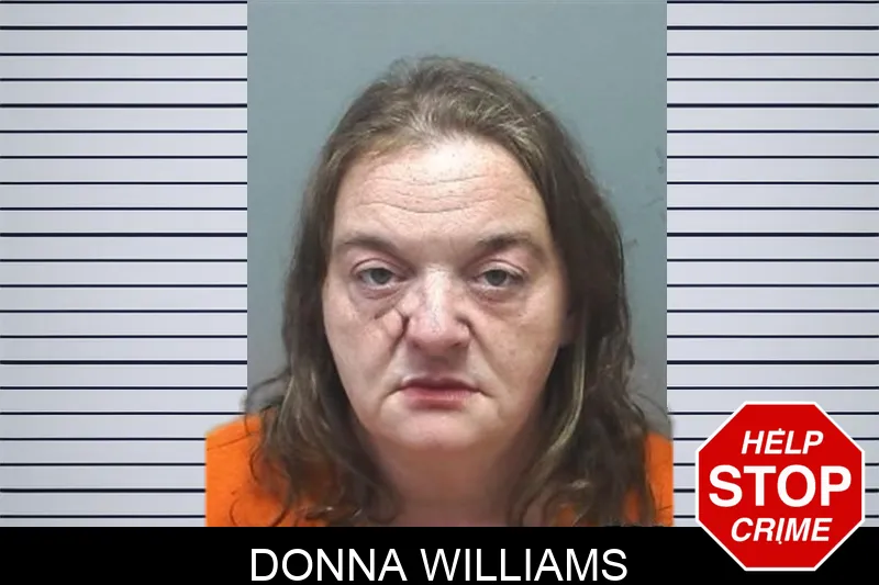 Donna Williams mugshot – Cherokee County , Georgia Donna Williams mugshot
