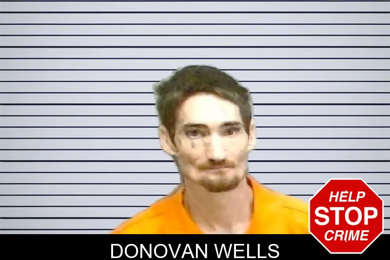 Donovan Wells mugshot – Fulton County , Georgia Donovan Wells mugshot