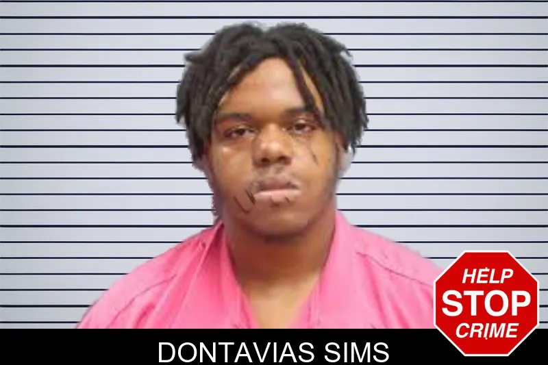 Dontavias Sims mugshot – Lee County , Georgia Dontavias Sims mugshot
