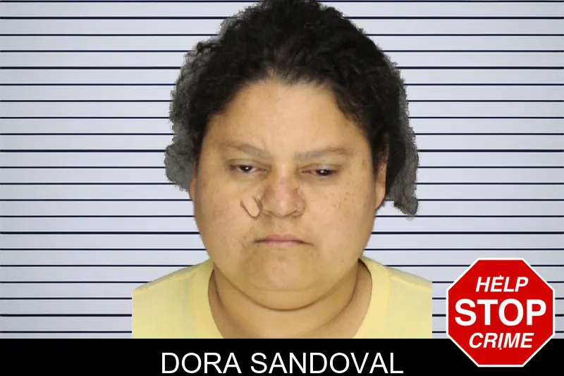 Dora Sandoval mugshot – Cobb County , Georgia Dora Sandoval mugshot
