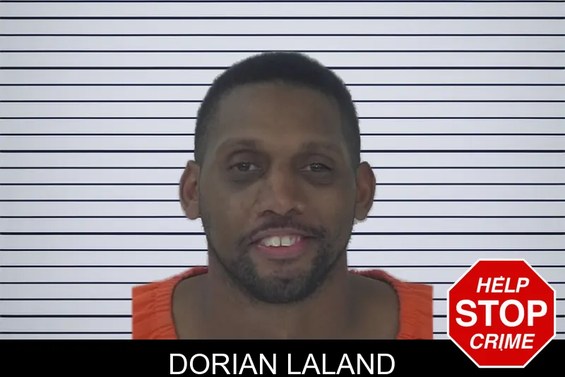 Dorian Laland mugshot – Fayette County , Georgia Dorian Laland mugshot