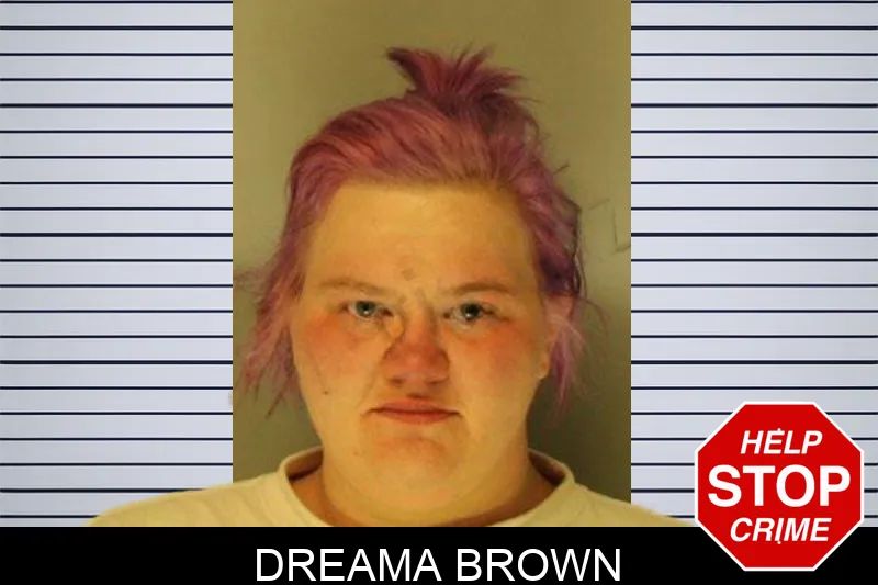 Dreama Brown mugshot – Hall County , Georgia Dreama Brown mugshot