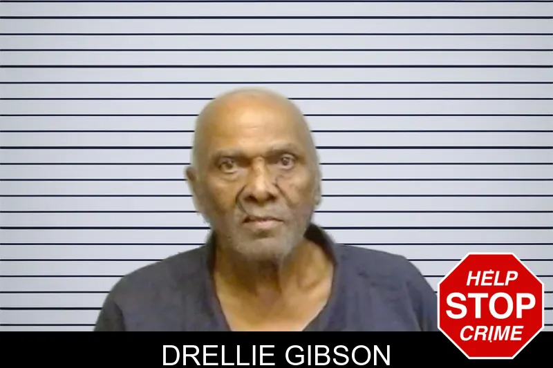 Drellie Gibson mugshot – Fulton County , Georgia Drellie Gibson mugshot